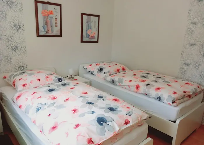 Gemuetliche 3 Zimmer-ferienwohnung Лангельсхайм